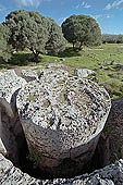 Selinunte Cave di Cusa. The quarry utilized for temple columns, today it is still possible to observe blocks and drums at different stages of preparation. 